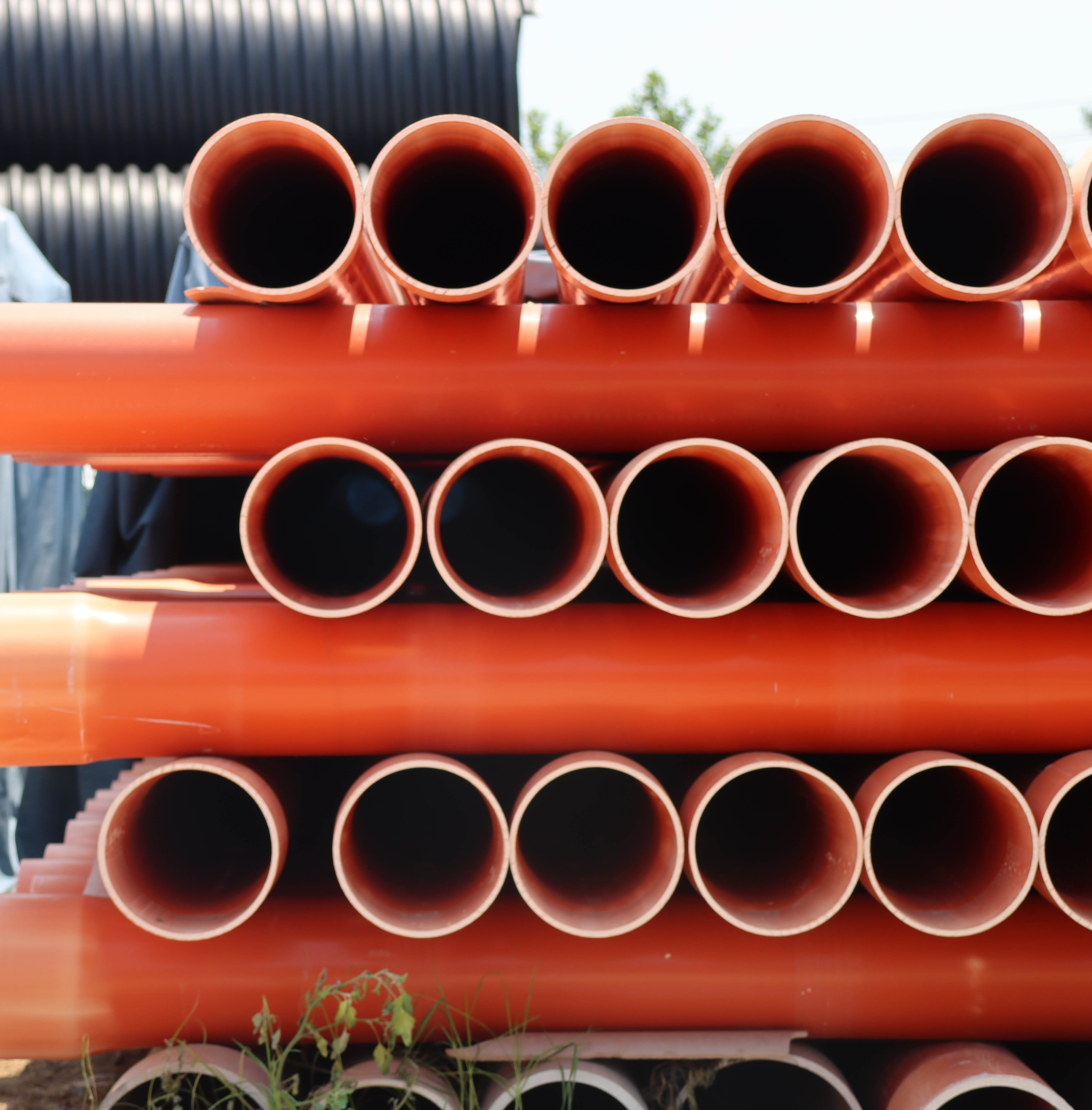 张掖专业mpp春水堂视频成人批发